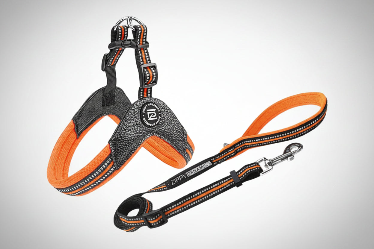 STRIDE. Step-In Harnesses and Leash Combo Main image