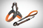 STRIDE. Step-In Harnesses and Leash Combo