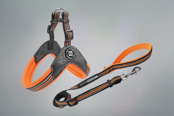 STRIDE. Step-In Harnesses and Leash Combo