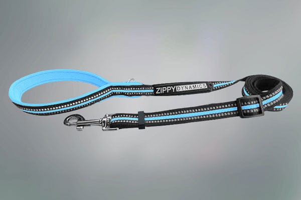 STRIDE.  Adjustable Dog Leashes Secondary image