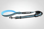 STRIDE.  Adjustable Dog Leashes