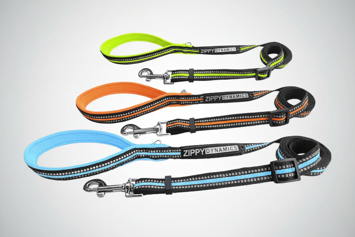 STRIDE.  Adjustable Dog Leashes Main image