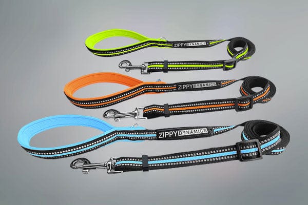 STRIDE.  Adjustable Dog Leashes Main image