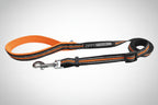 STRIDE.  Adjustable Dog Leashes