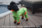 Zippy Dynamics’ “Zesty” Full-Body Suit