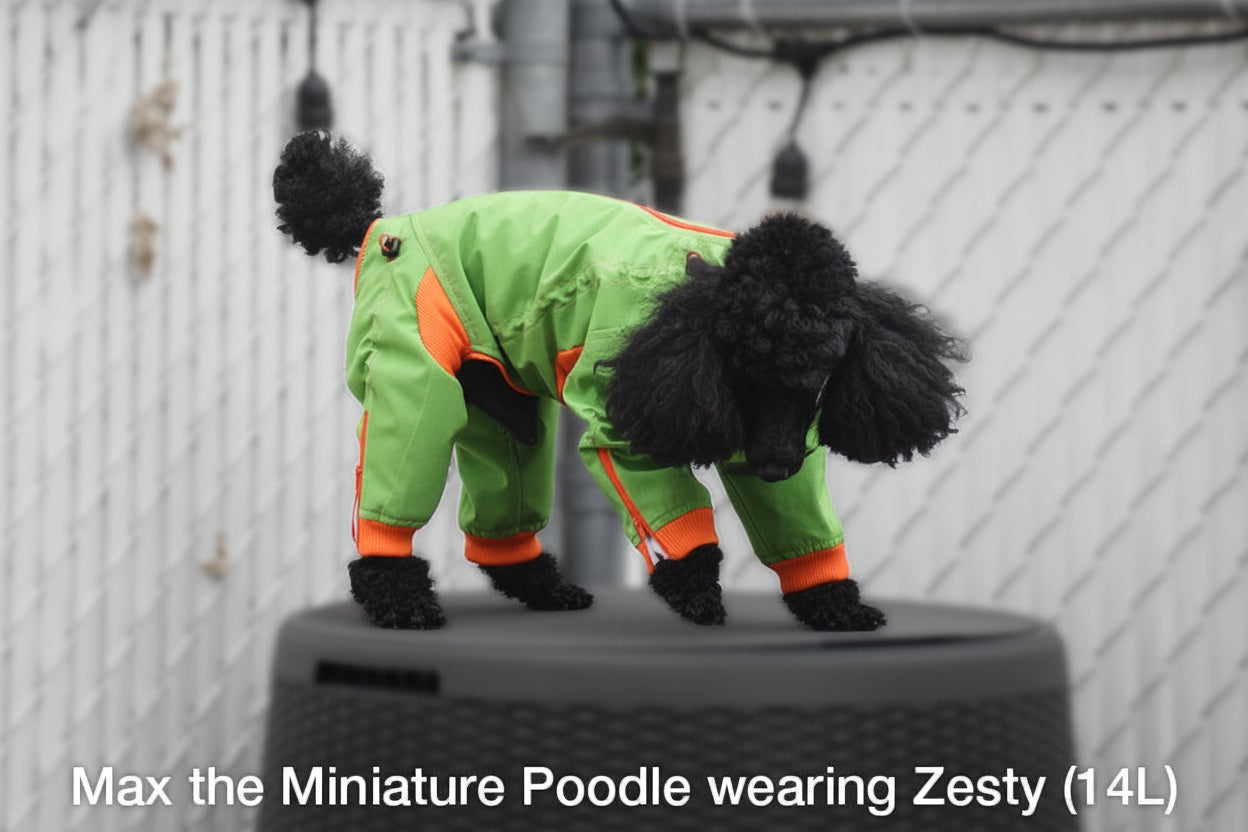 Zippy Dynamics’ “Zesty” Full-Body Suit Main image