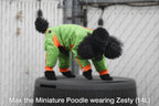 Zippy Dynamics’ “Zesty” Full-Body Suit