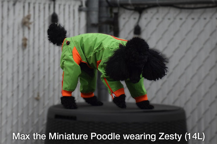 Zippy Dynamics’ “Zesty” Full-Body Suit