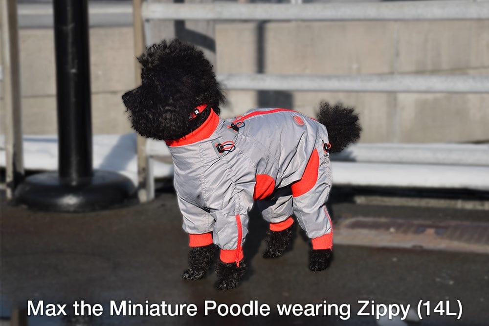 Zippy Secondary image