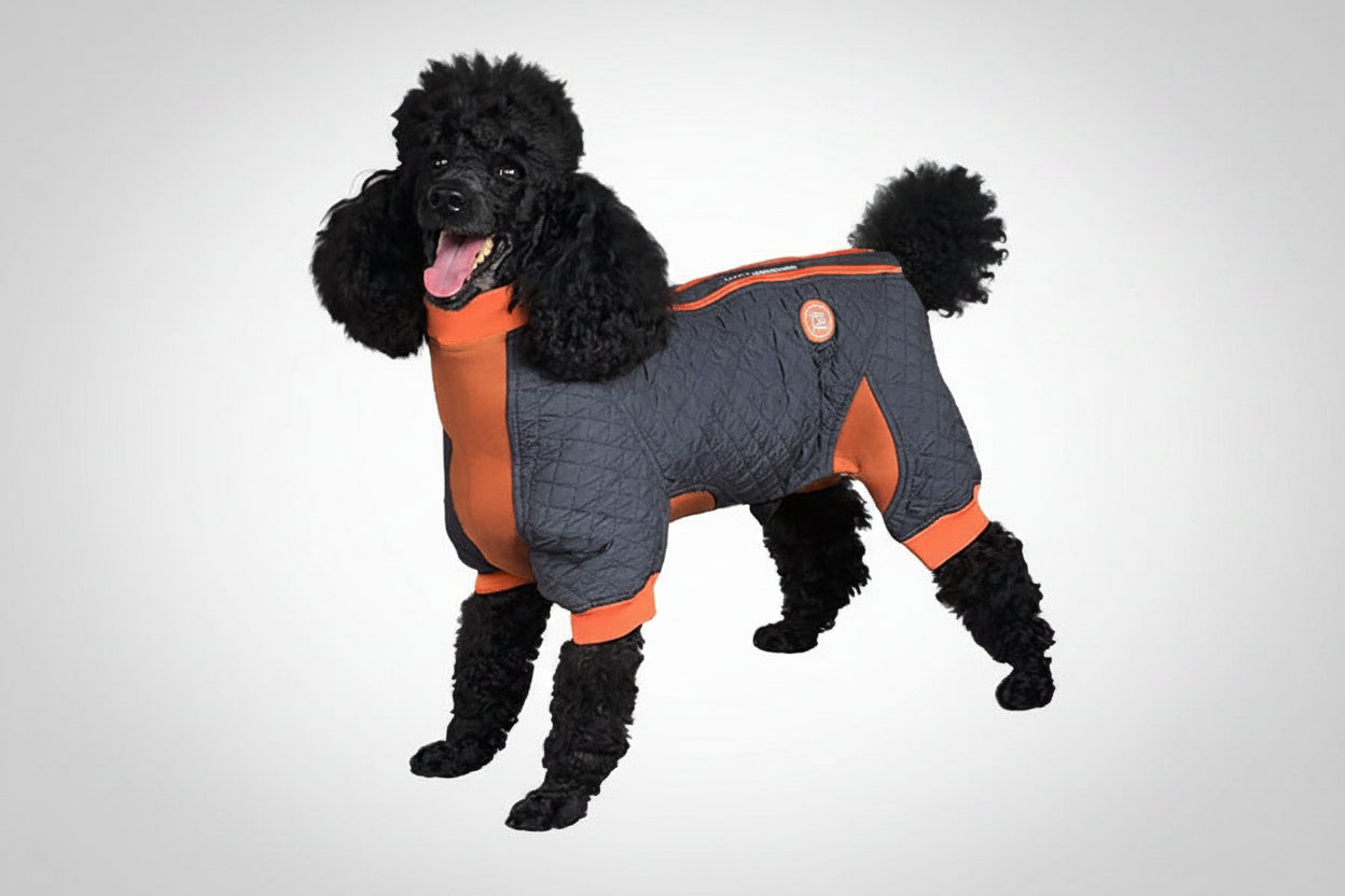 Zippy Dynamics’ “Springy” Coat Main image
