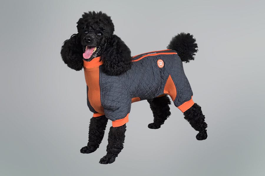 Zippy Dynamics’ “Springy” Coat Main image